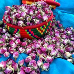 غنچه گل محمدی قمصر کاشان(سنتی و تولیدخانگی)