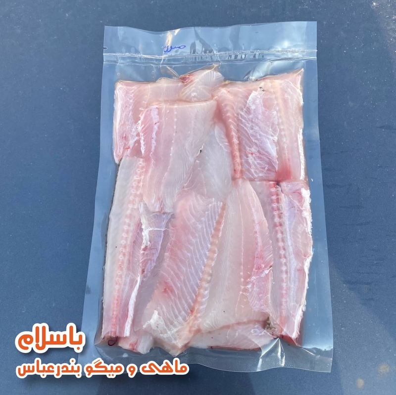 ماهی حسون یا کریشو تازه و صید روز ( 1 کیلو گرم ) 