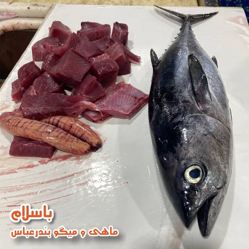 ماهی تن هوور   تازه و صید بندرعباس ( 1 کیلو گرم )