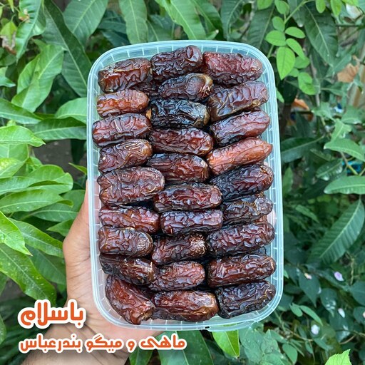 خرما پیارم اصل حاجی آباد صادراتی ( 1 کیلو گرم )