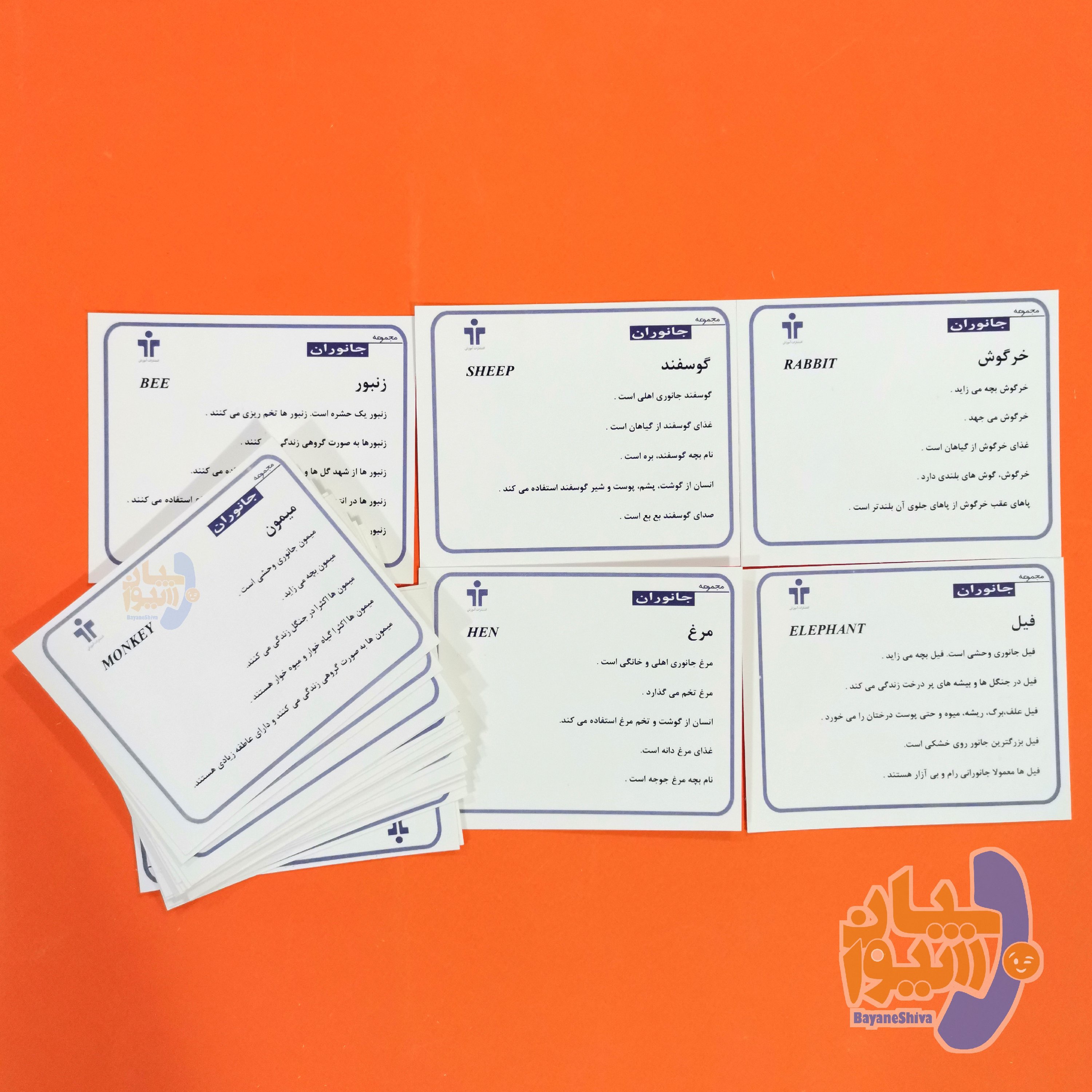 کارت های دیدآموز جانوران 1