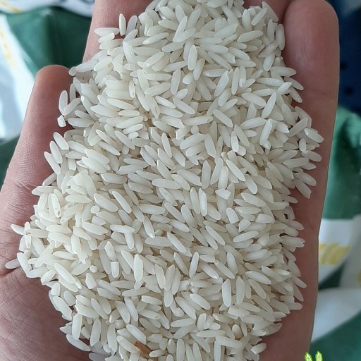 برنج دونوج