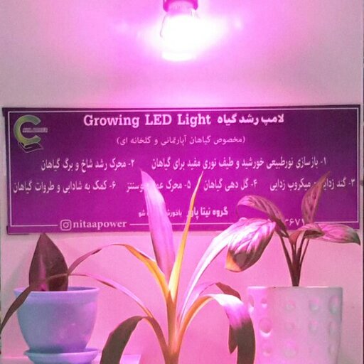 لامپ رشد گیاه 3w  led full spectrum با پایه نصب 