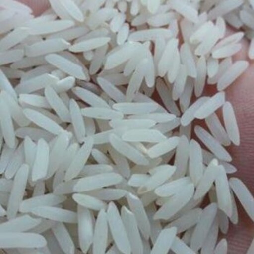 برنج فجر  اعلا 10کیلویی