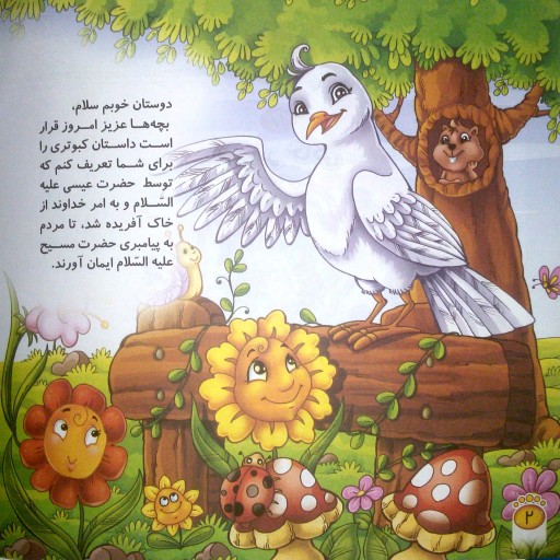 کتاب داستان کبوتر خاکی از مجموعه حیوانات در قرآن (نسیم وحی)- جلد 6 - کمال اندیشه