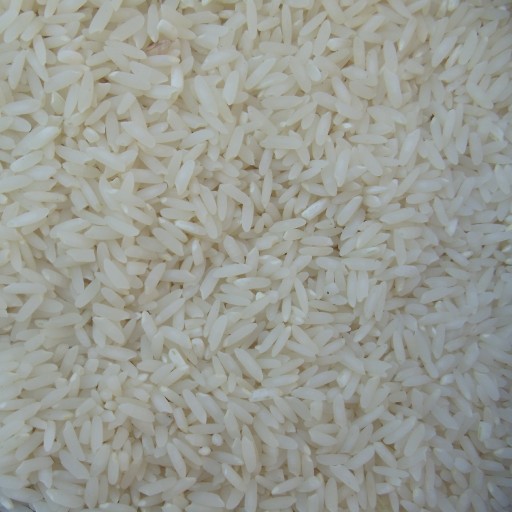 برنج ارگانیک وحشی کشت دوم، فوق اعلا سورت خورده و بدون کثیفی، قویترین برنج کشور