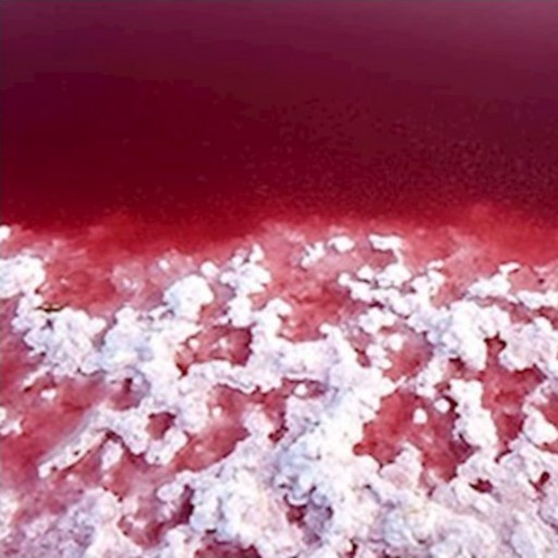 نمک طبیعی  دریاچه صورتی لیپار چابهار 5 کیلو گرمی