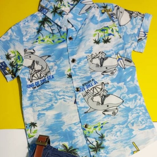 پیراهن و شلوارک هاوایی پسرانه