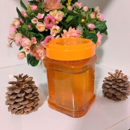 عسل  چندگیاه درجه ممتاز  دیابتی اصل 1 کیلویی-کوهی دشتی بیابانی و باغی(خرید مستقیم از زنبوردار)ارسال رایگان