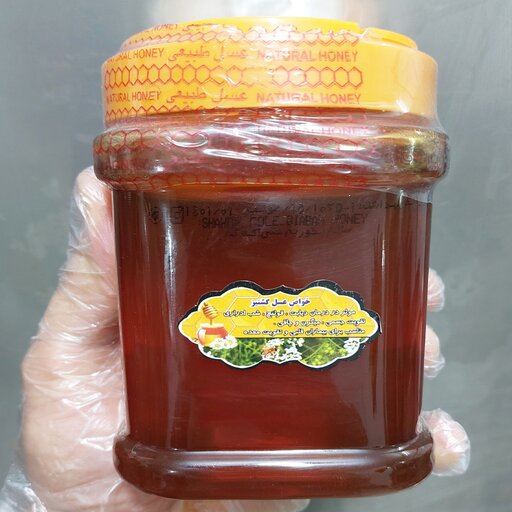 عسل گشنیز اصل 1 کیلویی - دشتی(خرید مستقیم از زنبوردار )