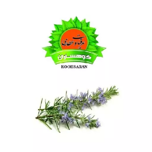 روغن گیاهی رزماری 60 سی سی شفابخش