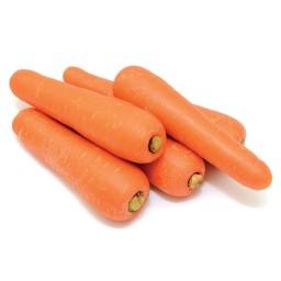 بذر هویج 20 گرمی