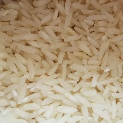 برنج دم سیاه استخوانی مجلسی (چین پارسال)