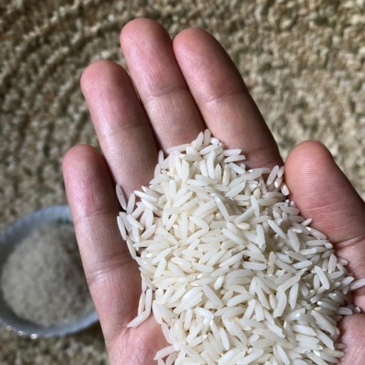 برنج صدری دمزرد آستانه اشرفیه سورت شده و الک شده کیسه 5 کیلویی
