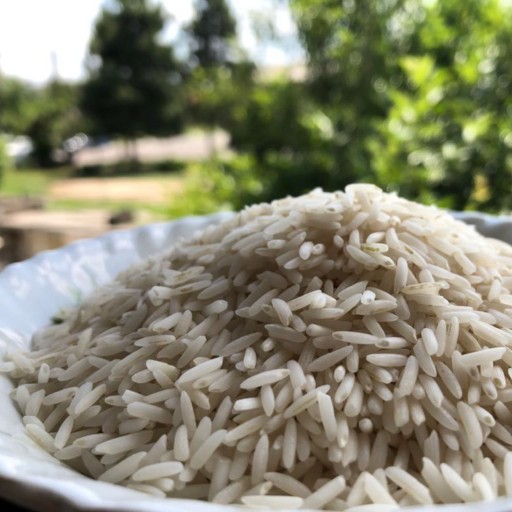 برنج صدری دمزرد آستانه اشرفیه سورت شده و الک شده کیسه 5 کیلویی