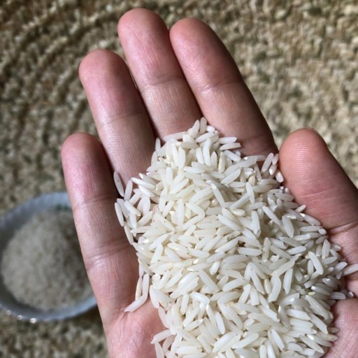 برنج صدری دمزرد آستانه اشرفیه سورت شده و الک شده کیسه 10 کیلویی