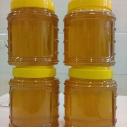 عسل صد در صد طبیعی بدون تغذیه  ( ساکارز زیر یک )