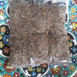 زیره سبز کاجون