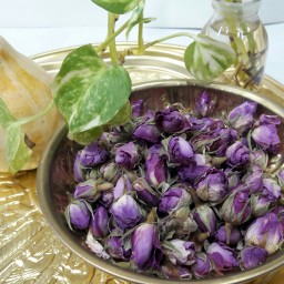 غنچه گل محمدی