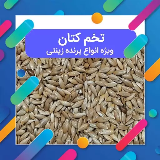 تخم کتان یا  کتان سفید  ویژه انواع پرنده زینتی  350 گرمی