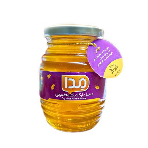 عسل گون گز ارگانیک و کاملاً طبیعی مدا 250 گرمی