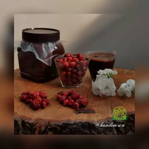 رب میوه گل نسترن گیلدیک حداقل سفارش 800گرم