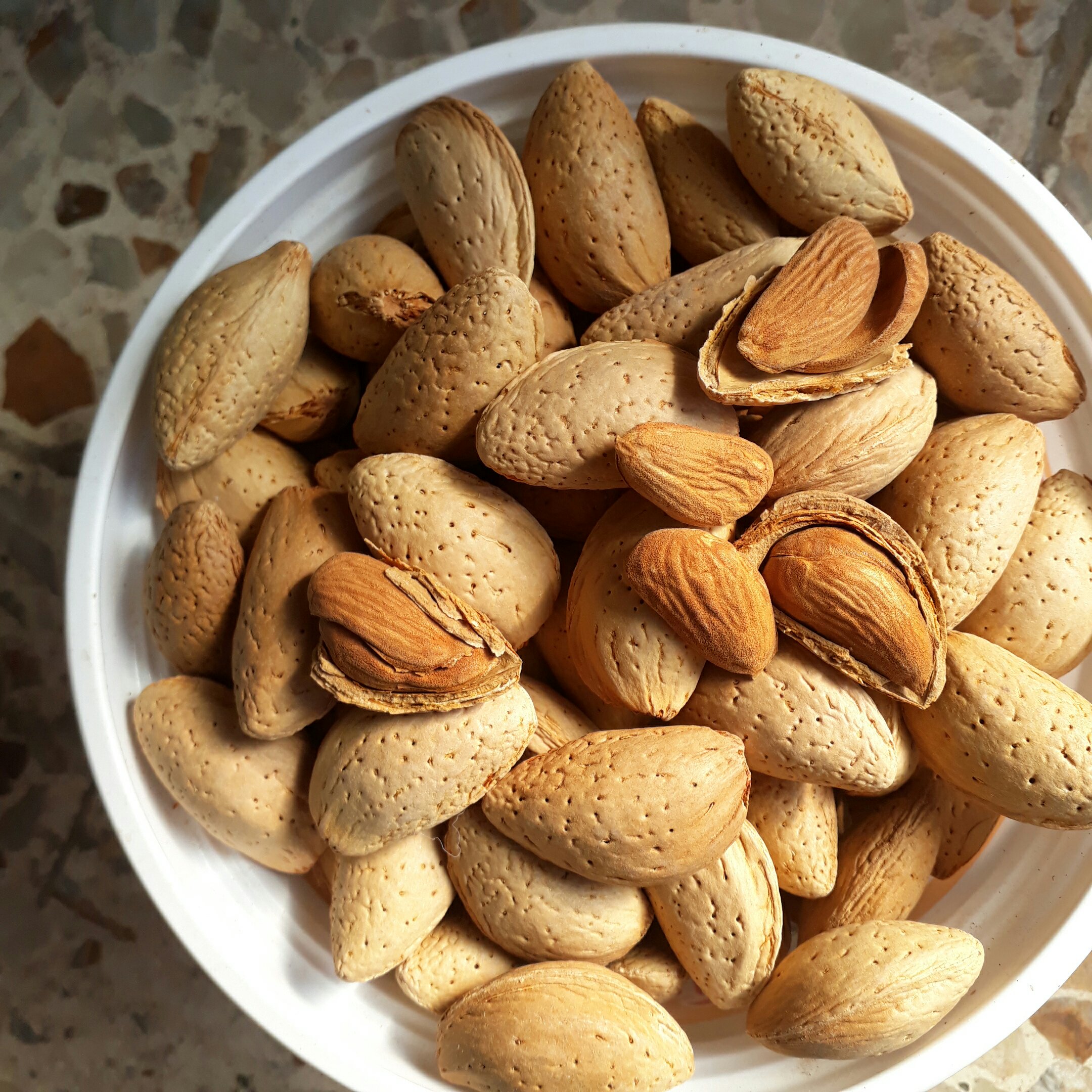 بادام ربیع صادراتی 1404(یک کیلویی)