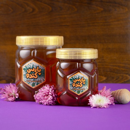 عسل طبیعی چند گیاه - 500 گرمی - پارس کندو خوانسار