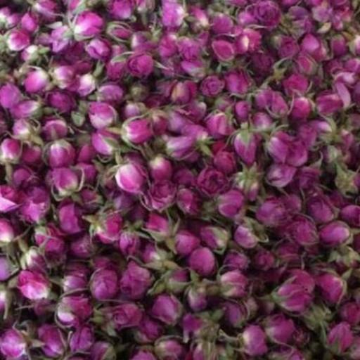 غنچه گل محمدی خشک تمیز شده یک کیلو گرمی از دشت گل  دیم لایزنگان