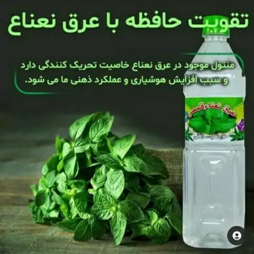 عرق نعنا(800گرم)