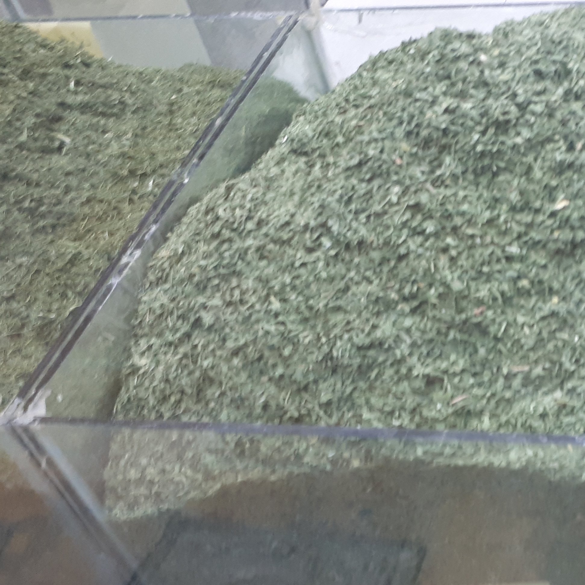 سبزی جعفری خشک 