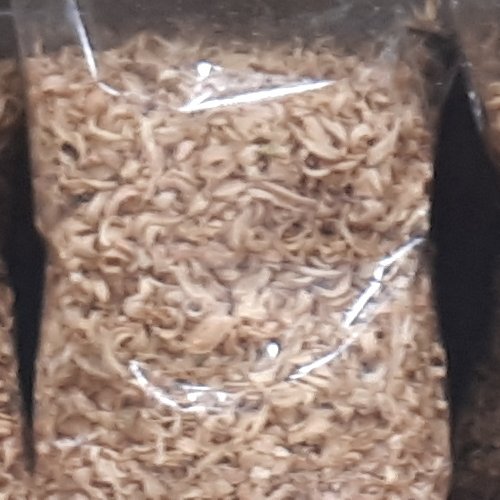 بهار نارنج طبس گلشن