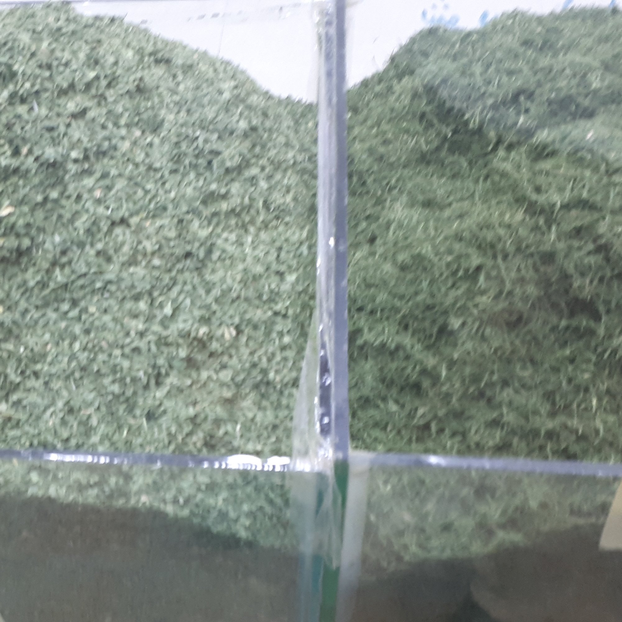 سبزی خشک آش