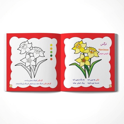 کتاب رنگ آمیزی گل ها همراه با شعر