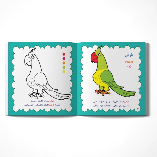 کتاب رنگ آمیزی پرندگان خانگی همراه با شعر