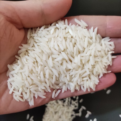 برنج طارم هاشمی عطری محلی بسته 2 کیلوگرمی