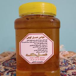 عسل طبیعی کوهستان خالص 1 کیلویی(مستقیم از زنبوردار)