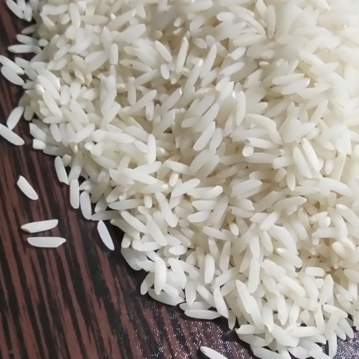 برنج طارم هاشمی ممتاز فریدونکنار
