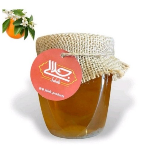 عسل طبیعی مرکبات 1000گرمی آنلاین شاپ