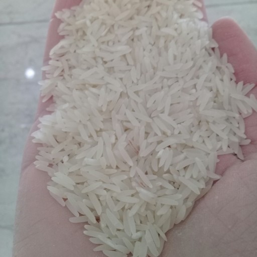 برنج 20 کیلویی فجر استخوانی گرگان