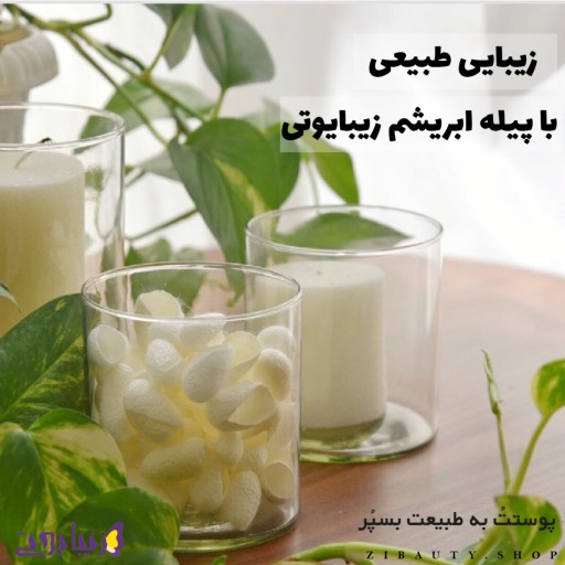 پیله ابریشم 50 عددی  ، طبیعی ترین محصول مراقبت از پوست و زیبایی با کیفیت بی نظیر