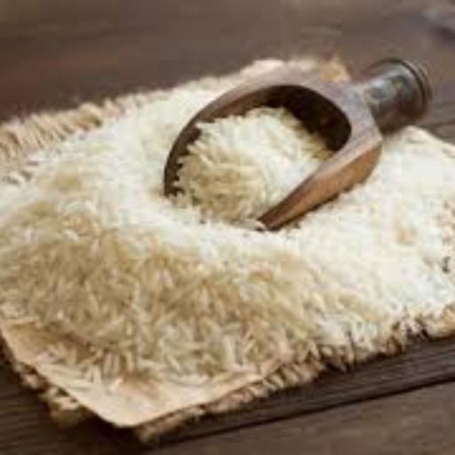 برنج طارم هاشمی شمال کشور