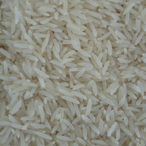برنج ایرانی دم سیاه سورت و بوجار شده ده کیلویی ارسال رایگان
