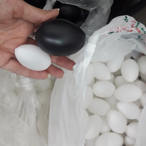 50عدد تخم مرغ پلاستیکی مشکی    کد dy  