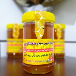 عسل گشنیز طبیعی خام 1 کیلویی (مستقیم از زنبوردار)