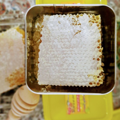 عسل چهل گیاه با موم طبیعی بهاره نیم کیلویی(مستقیم از زنبوردار)ارسال رایگان