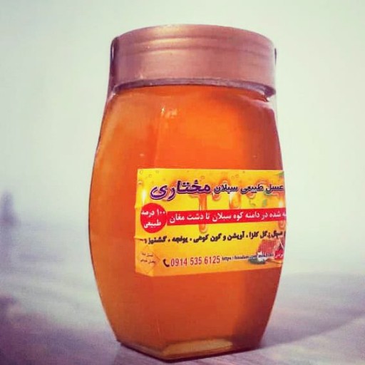 عسل طبیعی و ارگانیک قره داغ 1 کیلویی (مستقیم از نبوردار)