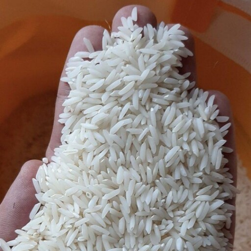برنج طارم هاشمی ممتاز برجسته 10 کیلویی درجه یک به شرط پخت 