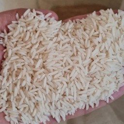 برنج هاشمی اعلاء(25 کیلویی) الموت قزوین