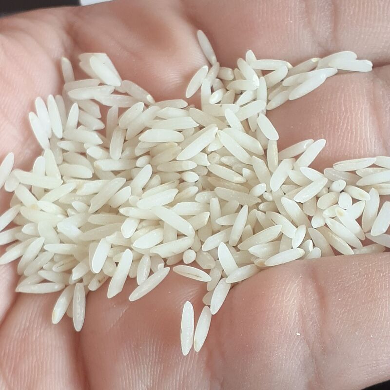 برنج هاشمی صددرصد ایرانی تضمینی به شرط پخت ( مستقیم بدون واسطه)